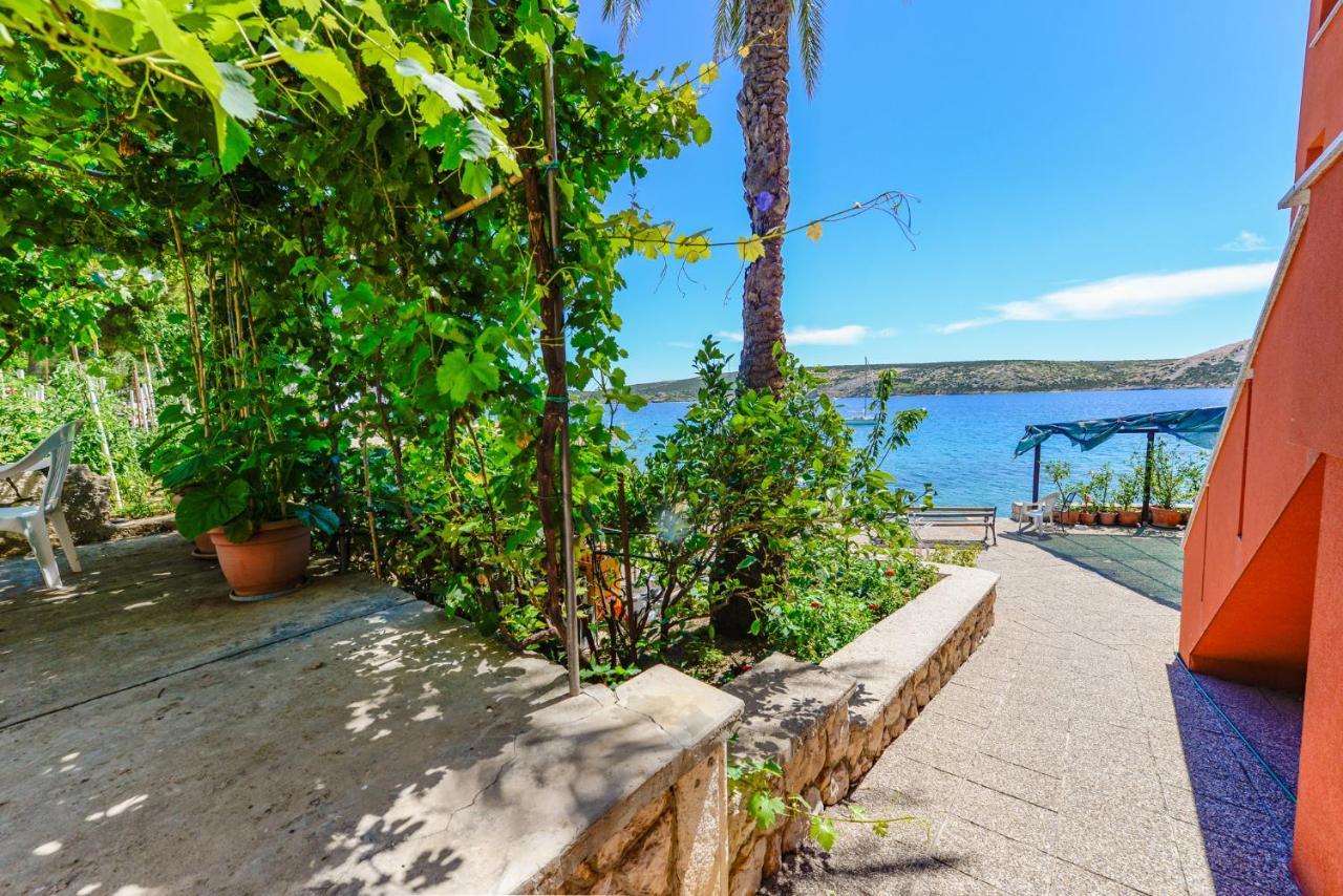 Apartments Amfora - Cozy And Modern Apartments For Up To 15 People, 100M From The Sea And Beach Stara Novalja Esterno foto